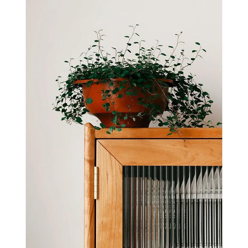 Radiance Tall Solid Cherry Wood Display Bookcase