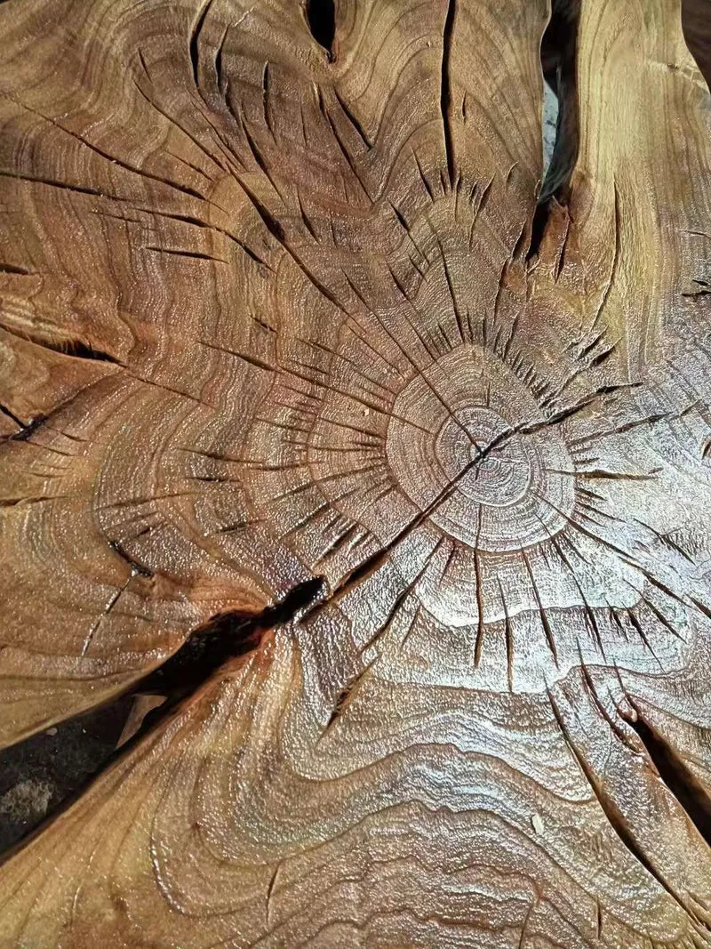 Infinity All-in-One Live Edge Coffee Table