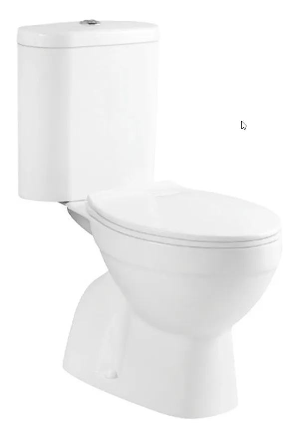 Inodoro completo vertical adosado pared con cisterna y tapa softclose New Bolonia de Aquore