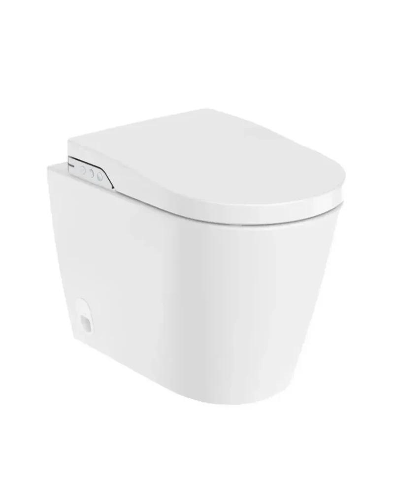 Roca In Wash A803063001 – Inodoro de Suelo con Cisterna Empotrada, Salida Horizontal, Blanco