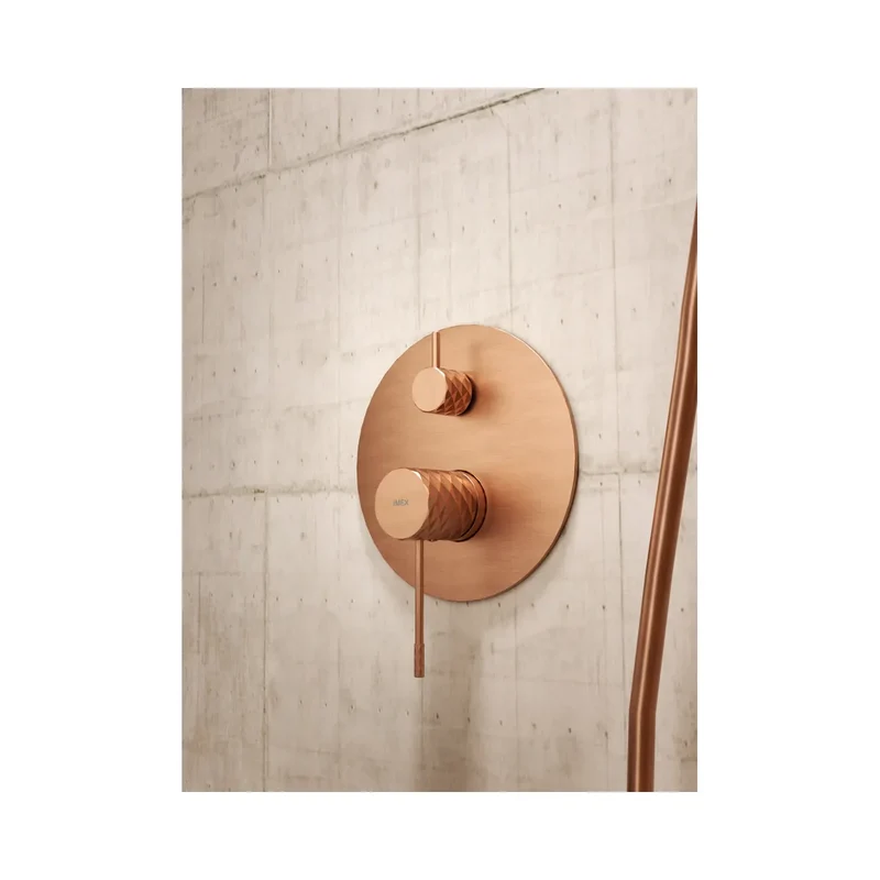 Conjunto ducha monomando empotrado Piamonte níquel cepillado Imex