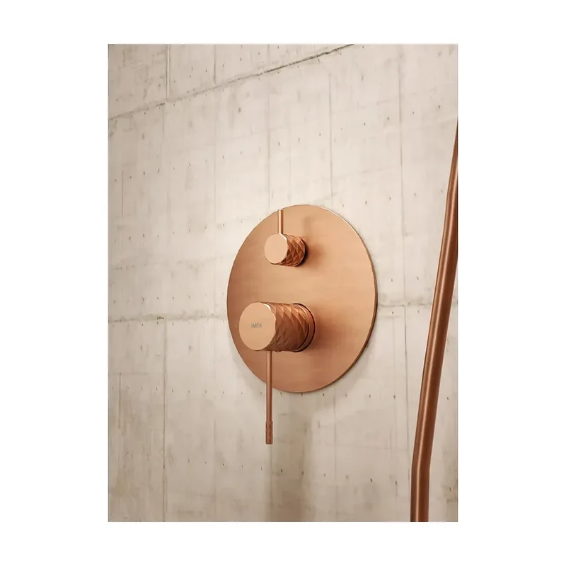 Conjunto ducha monomando empotrado Piamonte oro cepillado Imex