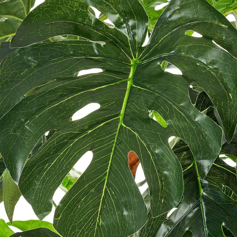 Planta artificial monstera verde en maceta de plástico. Altura de 170 cm