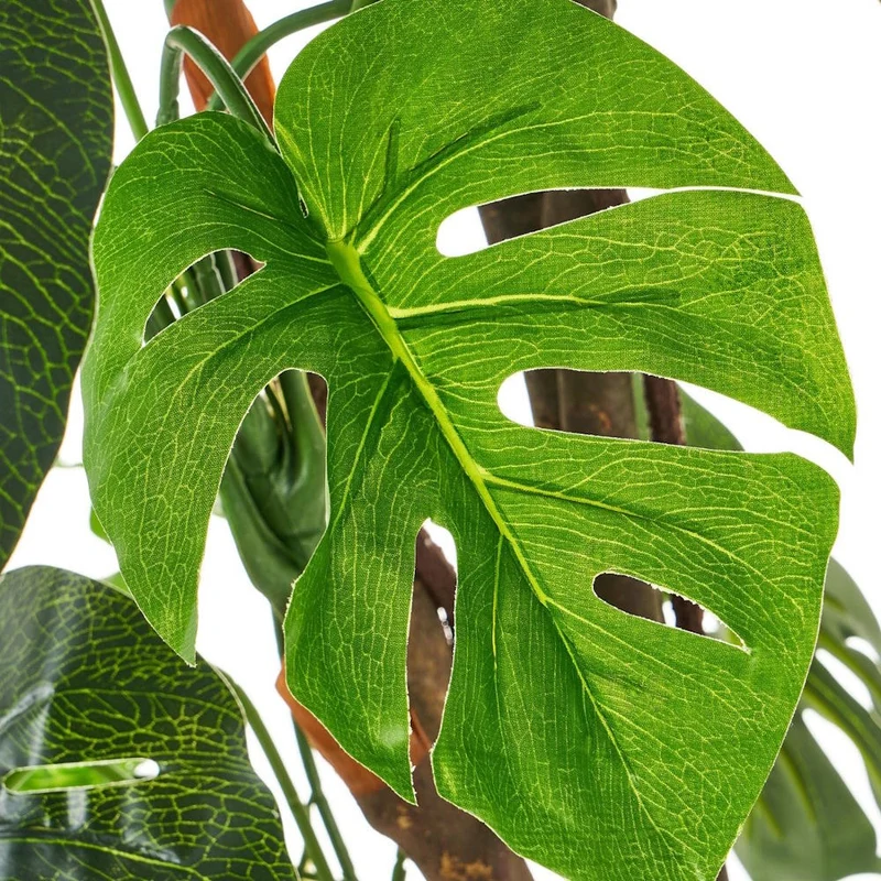 Planta artificial monstera verde en maceta de plástico. Altura de 170 cm