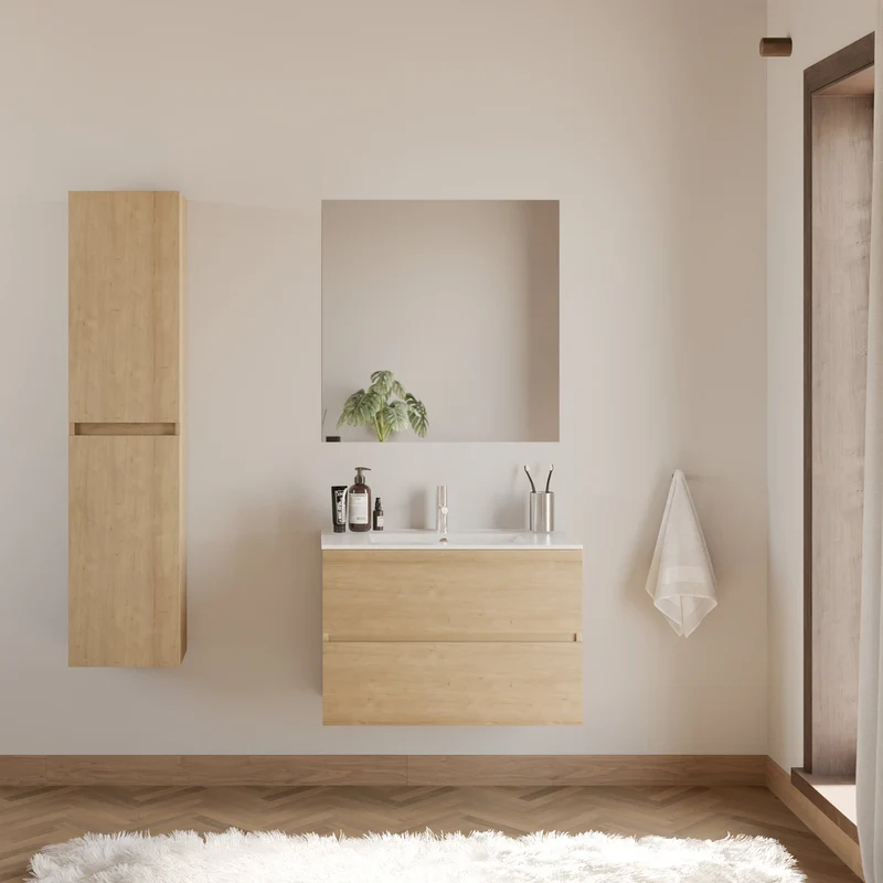 Meuble de salle de bain 70cm simple vasque - 2 tiroirs - IDA