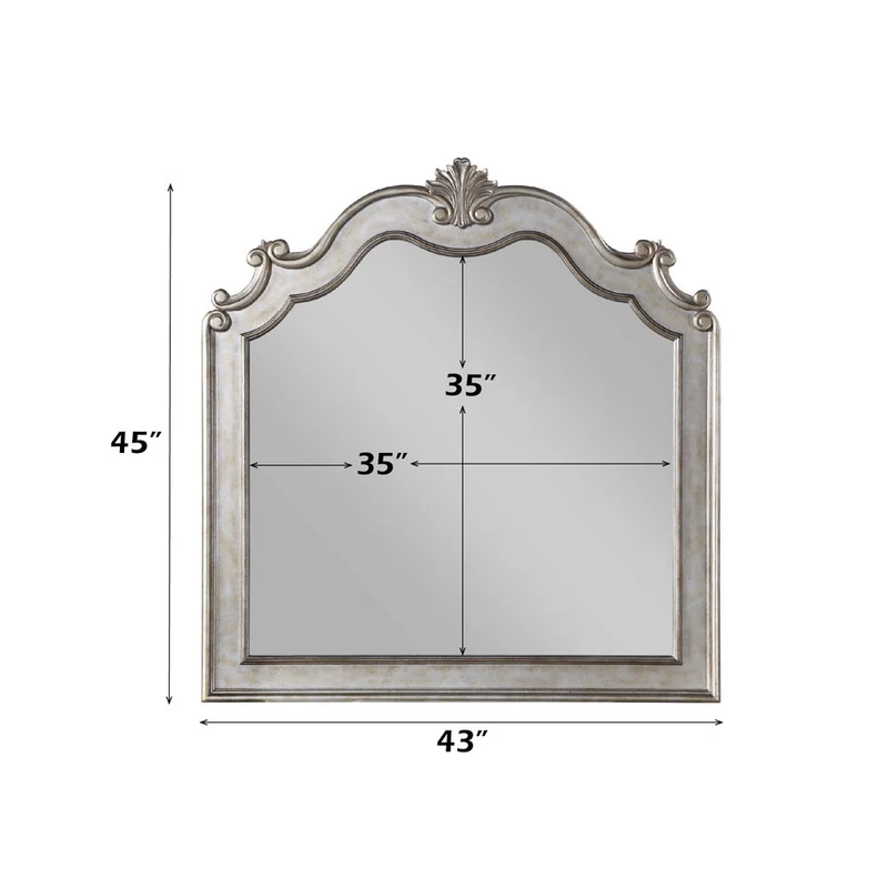 Esteban - Mirror - Antique Champagne