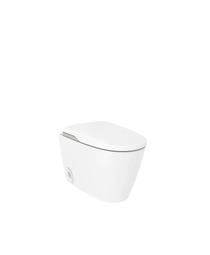 Roca In Wash A803105001 – Inodoro de Suelo con Cisterna Empotrada, Salida Horizontal, Blanco