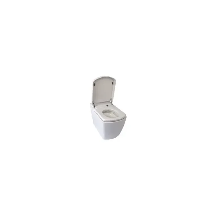 FOSSIL NATURA Weimar Inodoro inteligente programable de cerámica con acabado color blanco 06420
