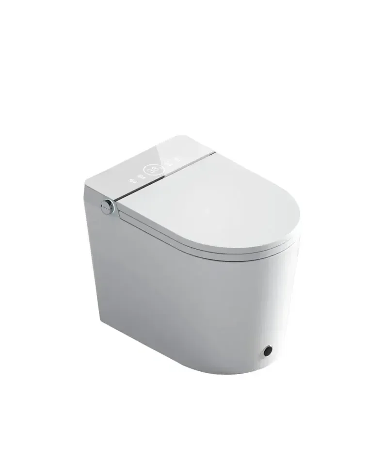 FOSSIL NATURA Aquila Inodoro inteligente de cerámica con acabado color blanco brillante y panel blanco 03845