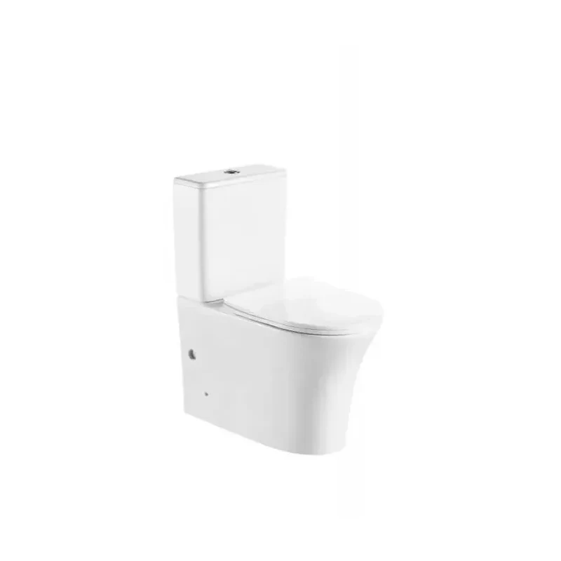 Taza de inodoro adosado a pared compacto porcelana sanitaria blanco brillo rimless salida dual Paris Aquore