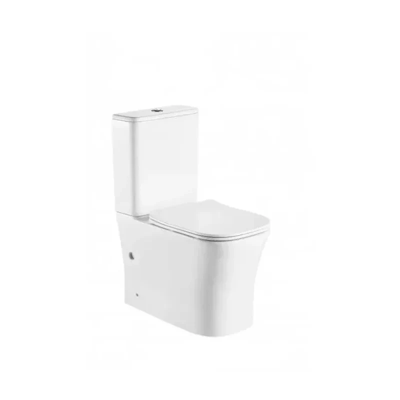 Taza de inodoro adosado a pared de porcelana sanitaria y acabado blanco con salida dual NIKKO de Aquore