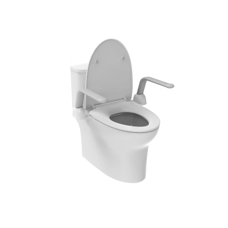 Apoyabrazos WC