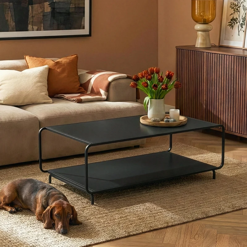Mesa de centro Færder 115x50x45 cm Acero Negro [en.casa]