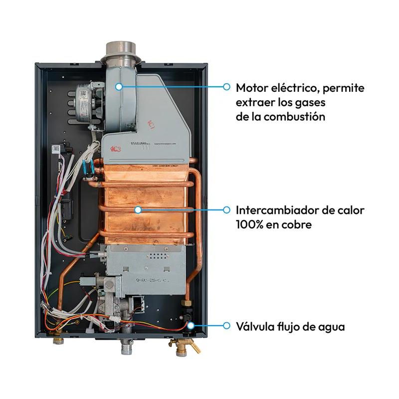 Calentador de Paso a Gas Challenger 16 lts Tiro Forzado WHD 7116, Negro