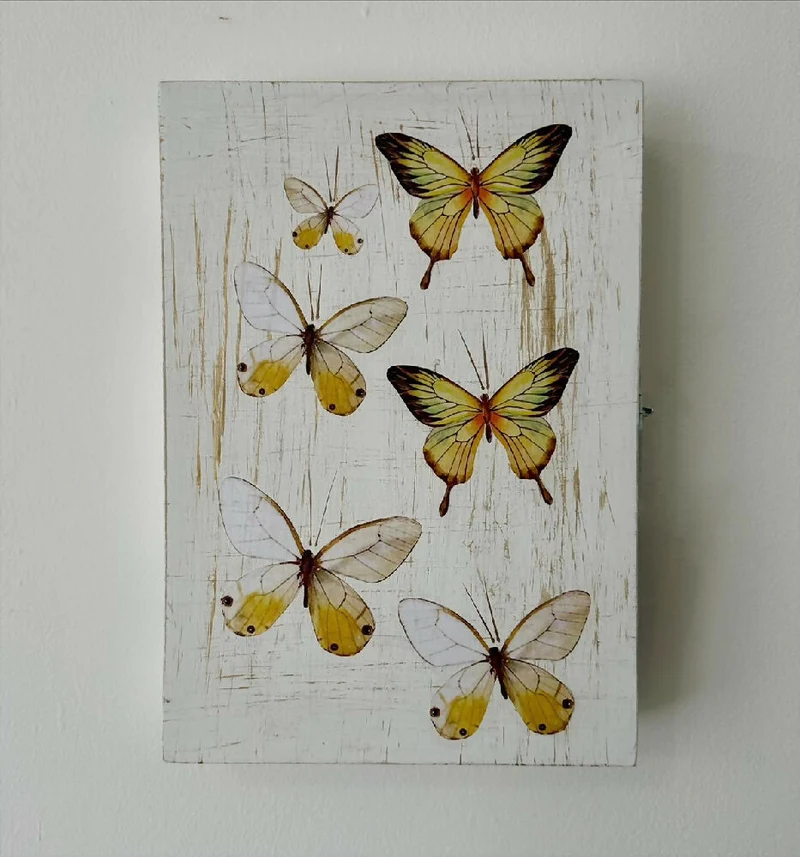 Organizador de Joyas Mariposas, de 30x21x6 cm