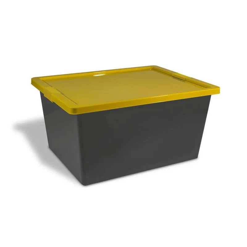 Caja Organizadora con Broches Forte 55L Gris-Amarillo