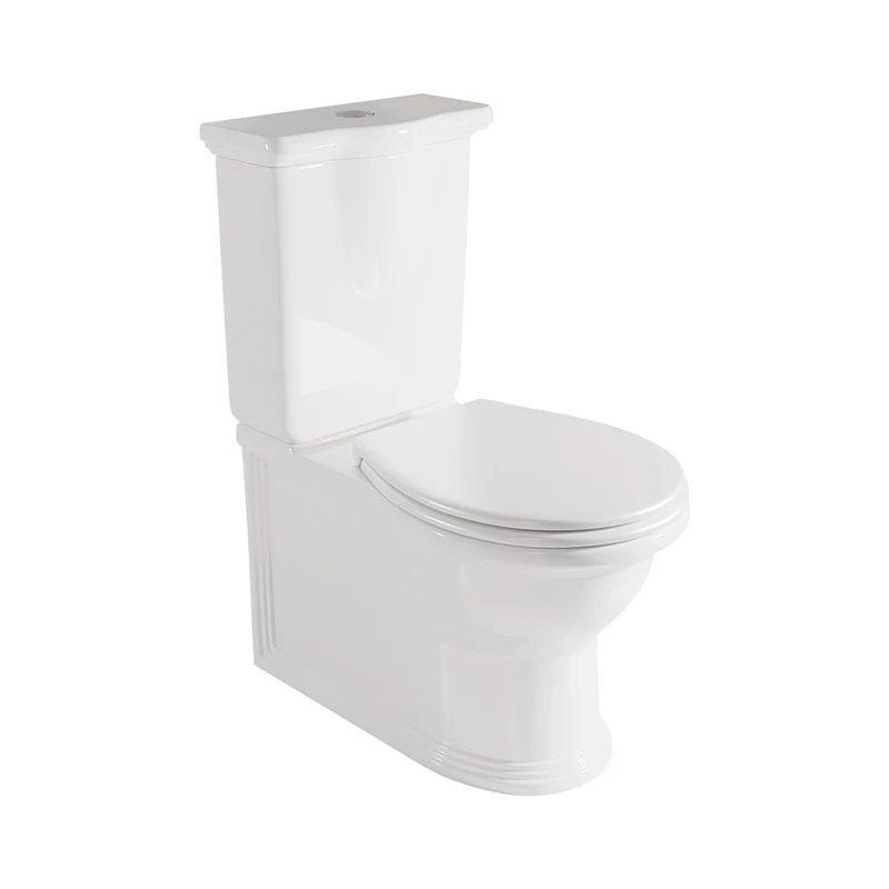 Pensylvania | Inodoro Completo Rimless Adosado a Pared | Asiento DM/ABS Soft Close | Cisterna Incluida