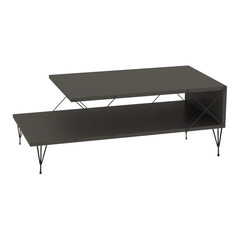 Mesa de centro Asker 100x50x40 cm [en.casa]