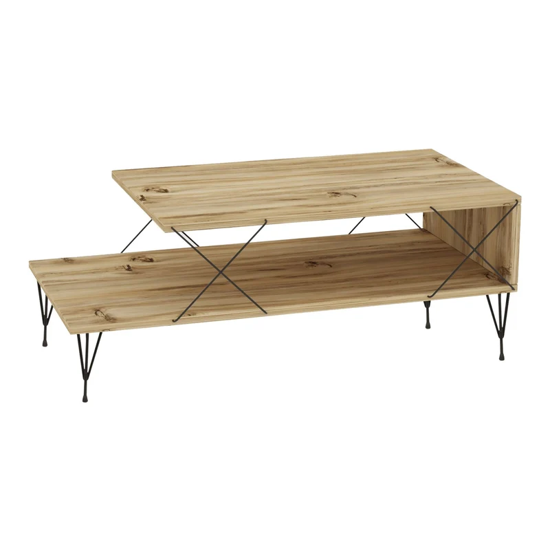 Mesa de centro Asker 100x50x40 cm [en.casa]