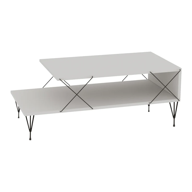 Mesa de centro Asker 100x50x40 cm [en.casa]